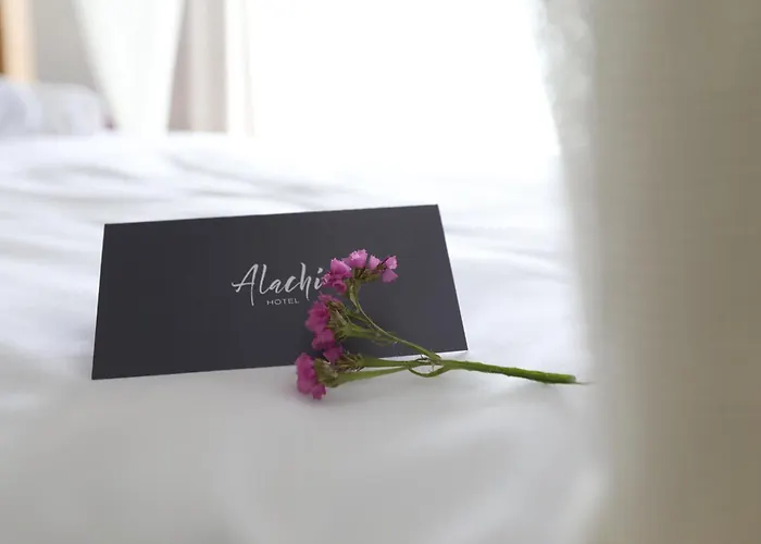 Alachi 알라카티