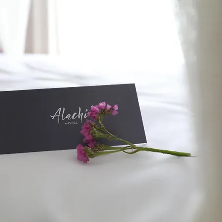 Alachi Alaçatı